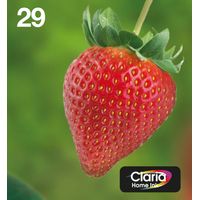 Miniatura 2 de MULTIPACK 29 EASYMAIL 4 COLORES