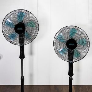 5903-Galeria-5