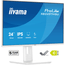 IIYAMA-XB2497HSU-W1--ProLite-23.8--LED-IPS-Full-HD-HDMI-Altavoces