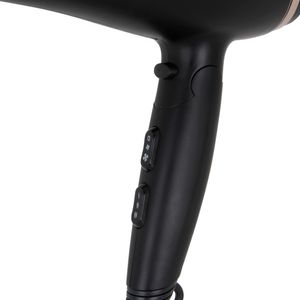 SE-2074-Galeria-2