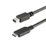 Cable-USB-C-to-Mini-DisplayPort-1m-3ft