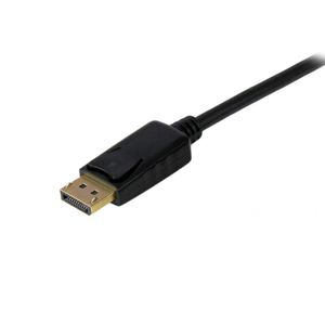 DP2VGAMM6B-Galeria-2