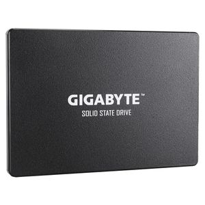 GP-GSTFS31256GTND-Galeria-2