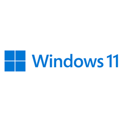 WIN 11 HOME 64BIT SPANISH 1PK DSP OEI D VD