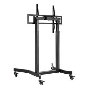 FTF100E-271-Galeria-3
