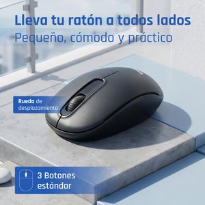 IGG320860-Galeria-3