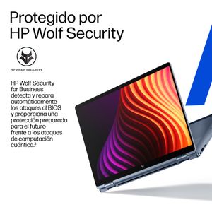 DF3E4ET-ABE-Galeria-6