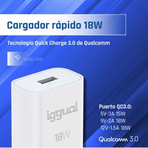 IGG317174-Galeria-3
