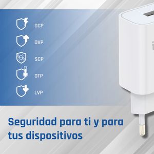 IGG317174-Galeria-7