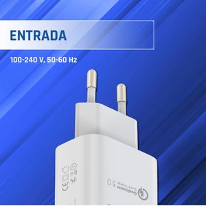 IGG317419-Galeria-7