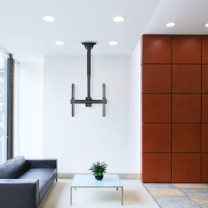 LPCE1155TSLI-B-Galeria-11