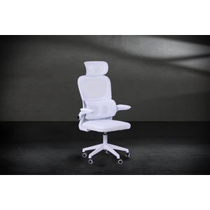 MGCERGOPROWH-Galeria-6