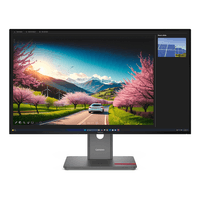 Miniatura 1 de MONITOR LENOVO ThinkVision P32UD-40 Monitor  ThinkVision 31.5" IPS 3840 x 2160 HDMI