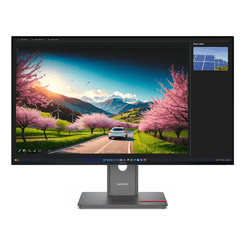 MONITOR LENOVO ThinkVision P32UD-40 Monitor  ThinkVision 31.5" IPS 3840 x 2160 HDMI