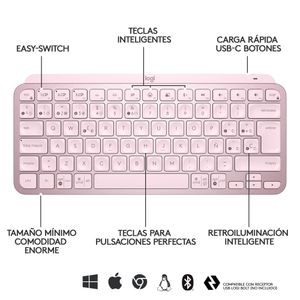 920-010813-Galeria-12