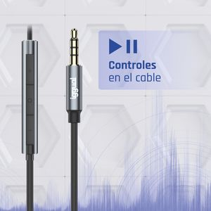 IGG317037-Galeria-4