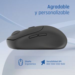 IGG320532-Galeria-3