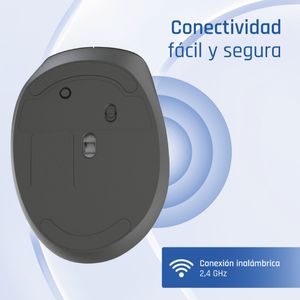 IGG320549-Galeria-2