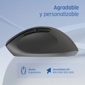 IGG320549-Galeria-3