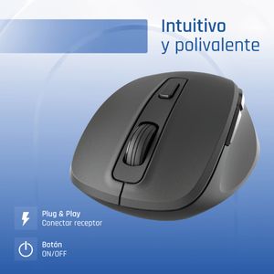 IGG320549-Galeria-5