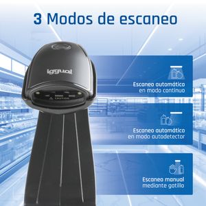 IGG320136-Galeria-4