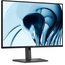 DELL-P2426--Pro-P-24.1--LCD-IPS-WUXGA-HDMI