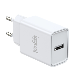 iggual Cargador de pared 1xUSB 5V/2.4A (12W)