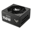 Fuente-Alimentacion-750W-Asus--TUF-Gaming-750W-Gold-80-PLUS-Gold-Fully-Modular-Negro