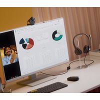 Miniatura 8 de AURICULARES + MICRO LOGITECH USB H390 NEGRO