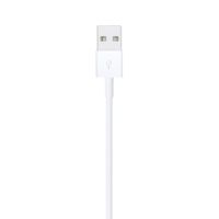 Miniatura 5 de LIGHTNING TO USB CABLE (1M)