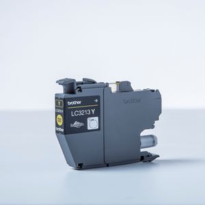 LC3213Y-Galeria-2