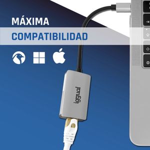 IGG317693-Galeria-7