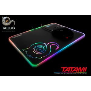 TAL-TATAMI-Galeria-4