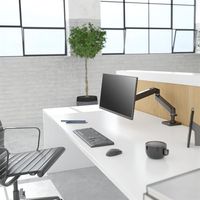 Miniatura 4 de LX PRO ARM SINGLE DISPLAY DESK MOUNT