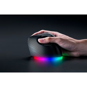 RZ01-05250100-R3G1-Galeria-5