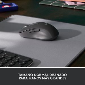910-006236-Galeria-9