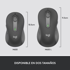 910-006236-Galeria-14