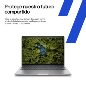 A3ZQ4ET-Galeria-7