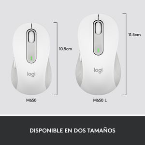 910-006255-Galeria-15