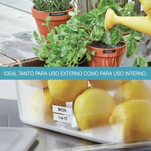 1978364-Galeria-6