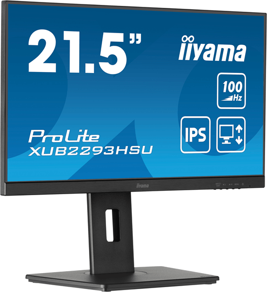 IIYAMA XUB2293HSU-B7 ProLite 21.5" LED IPS Full HD HDMI Altavoces
