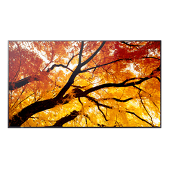 MONITOR SHARP M432  MultiSync 42.5" IPS 3840 x 2160 HDMI Altavoces