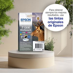 C13T13034012-Galeria-3