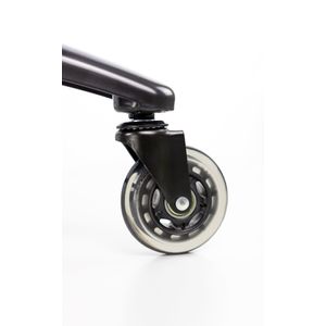 TAL-CAMALEON-Galeria-1