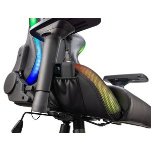 TAL-CAMALEON-Galeria-2