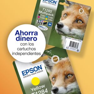 C13T12854012-Galeria-4