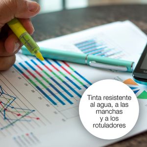 C13T27014012-Galeria-5