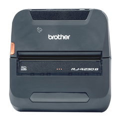 RJ4230BZ1