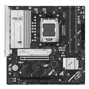 90MB1LQ0-M0EAYC-Galeria-2