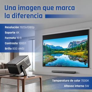 IGG320747-Galeria-11